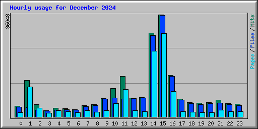 Hourly usage for December 2024