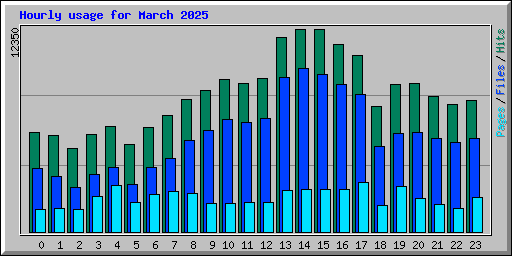 Hourly usage for March 2025
