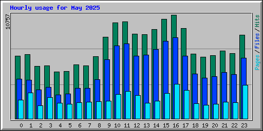 Hourly usage for May 2025